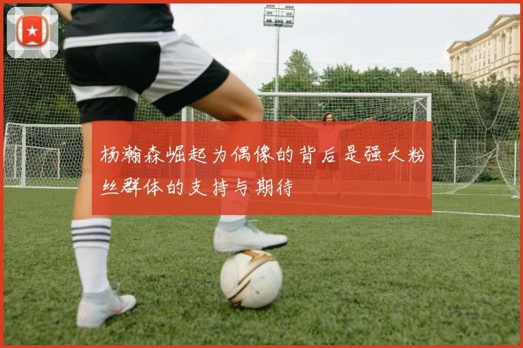杨瀚森崛起为偶像的背后是强大粉丝群体的支持与期待