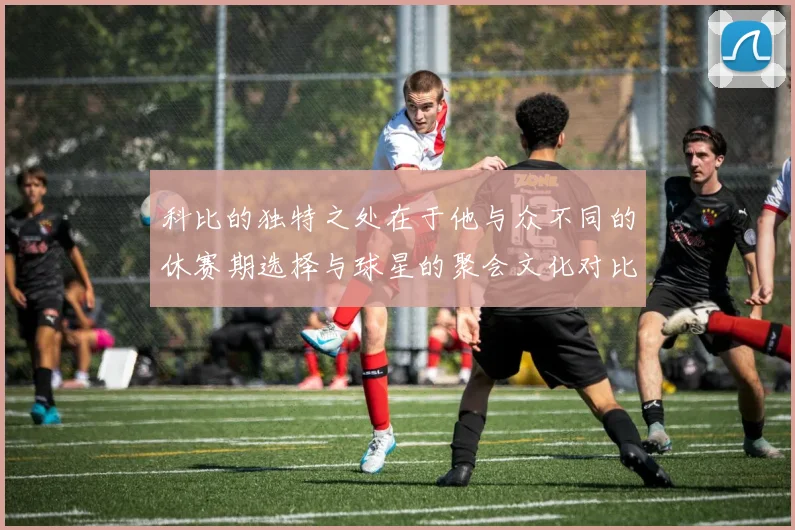 科比的独特之处在于他与众不同的休赛期选择与球星的聚会文化对比