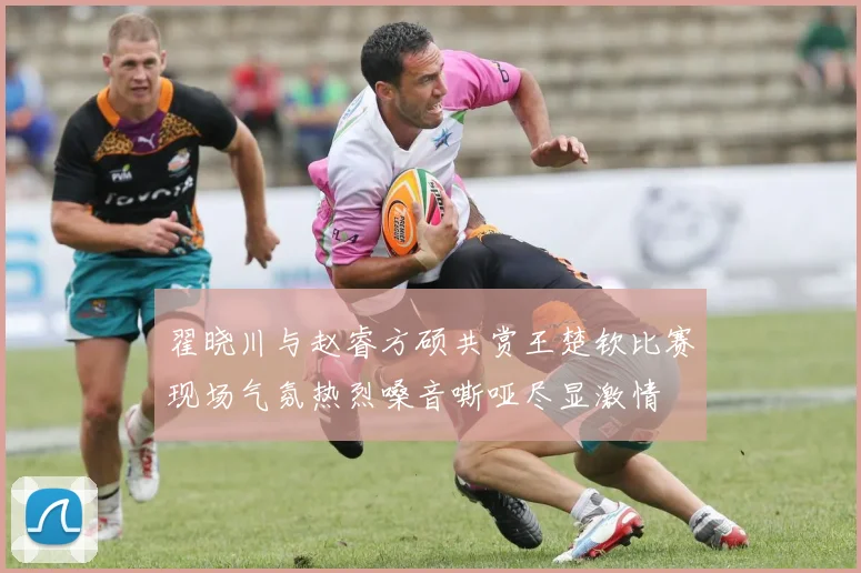 翟晓川与赵睿方硕共赏王楚钦比赛现场气氛热烈嗓音嘶哑尽显激情