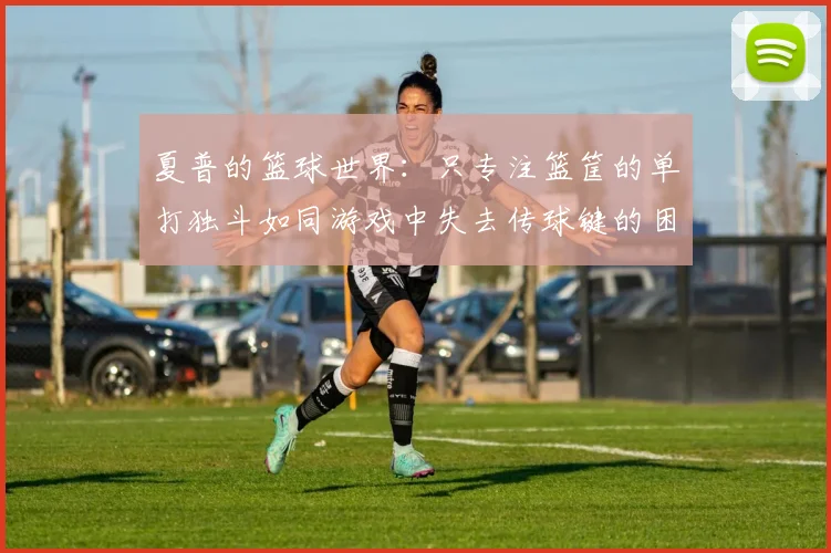 夏普的篮球世界：只专注篮筐的单打独斗如同游戏中失去传球键的困境